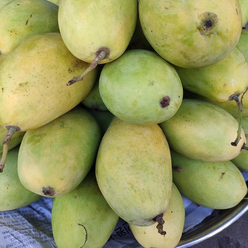 Xoài cát Hoà Lộc loại 1